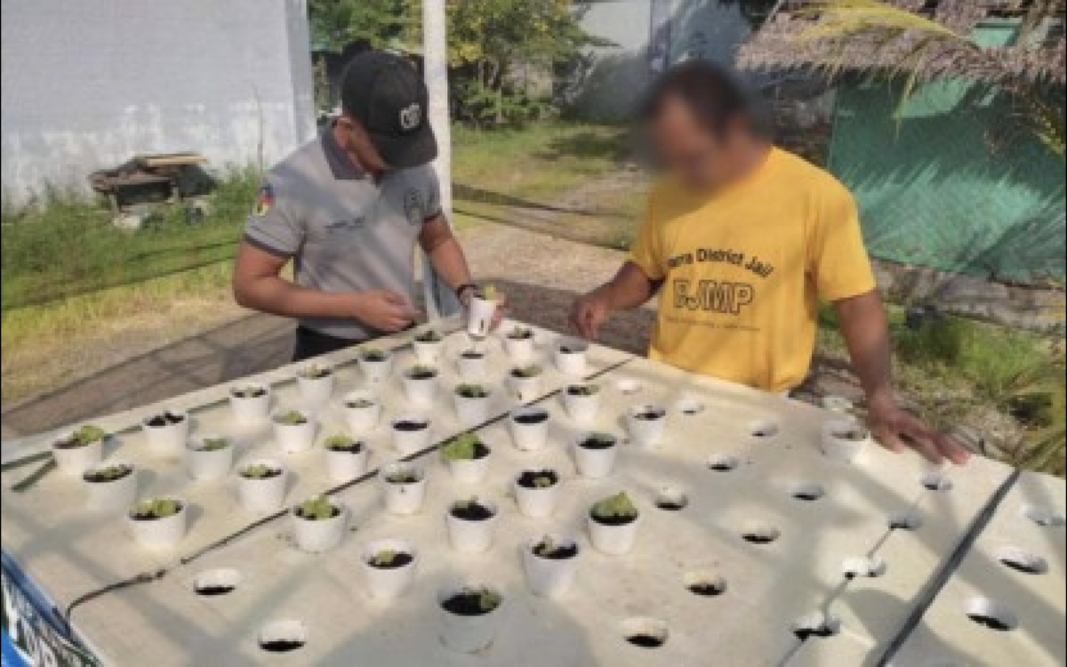 hydroponicsfarming-PDLsBJMP-2May2025 HOPE BEHIND BARS. A Bureau of Jail Management and Penology (BJMP) officer teaches a person deprived of liberty (PDL) how to do hydroponics-based farming in Palawan in this undated photo. Narra District Jail acting warden, Senior Jail Officer 2 Marlon Lolong, on Thursday (May 1, 2025) emphasized the program's potential to aid in the rehabilitation of inmates. (Photo courtesy of JO3 Joefrie Anglo, IO-BJMP Mimaropa)