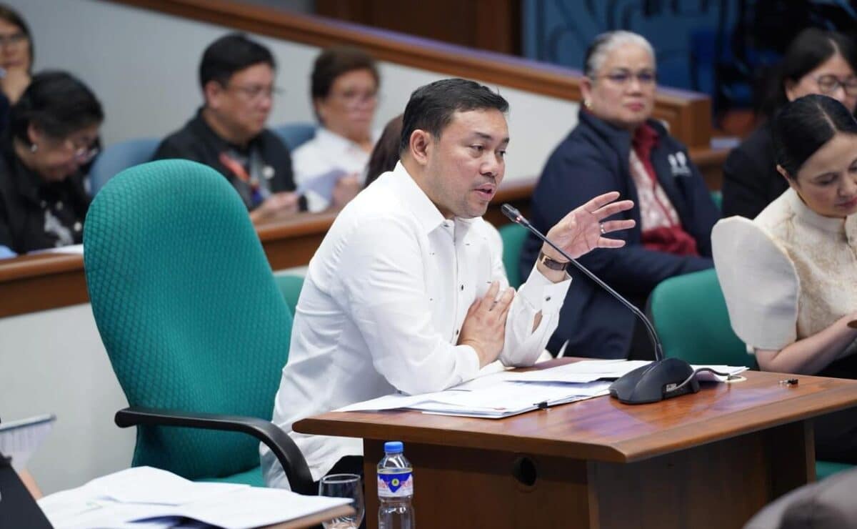 Sen. Mark Villar