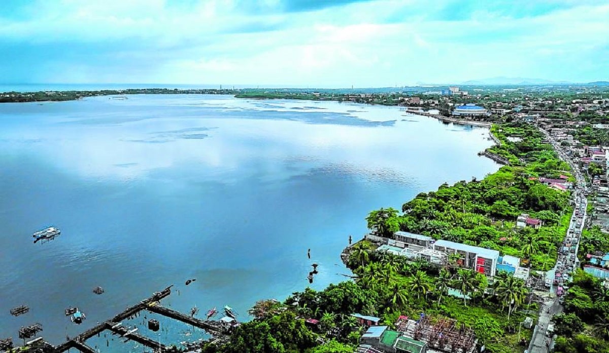 Cancabato Bay fish kill under probe