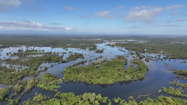 Agusan Marsh joins global migratory bird network