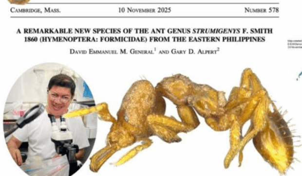 Featured articles left 4