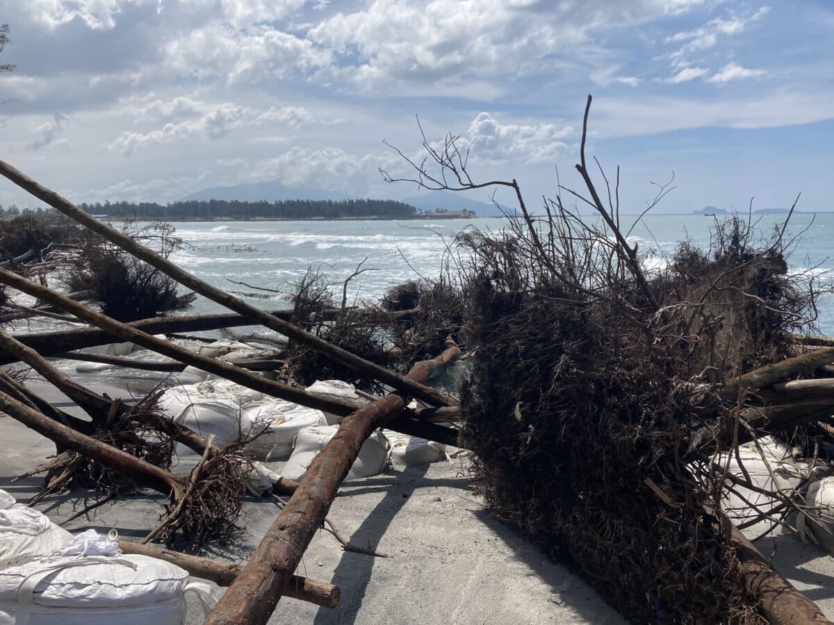 Zambales dredging blamed for uprooted trees, coastal erosion | Inquirer ...