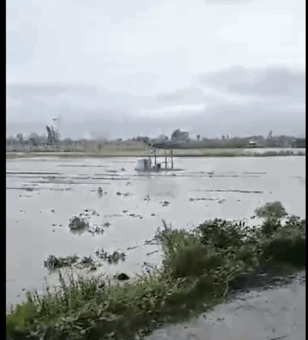 Featured article middle 5