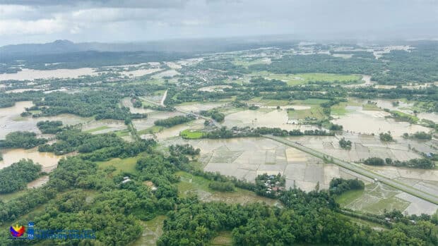 6,000 Visayas farmers lost crops to Tino