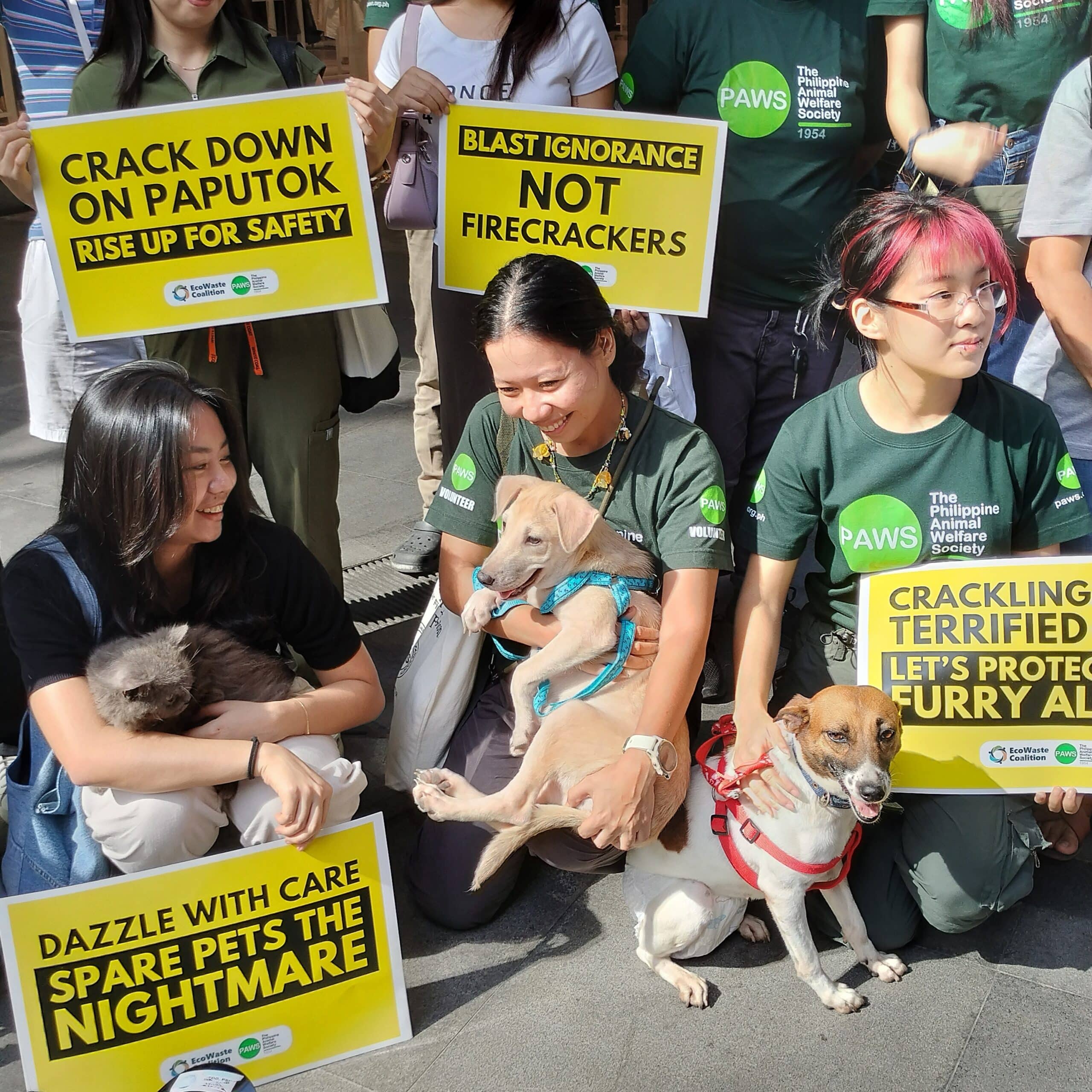 Public told: Celebrate firecracker-free New Year to protect pets, health