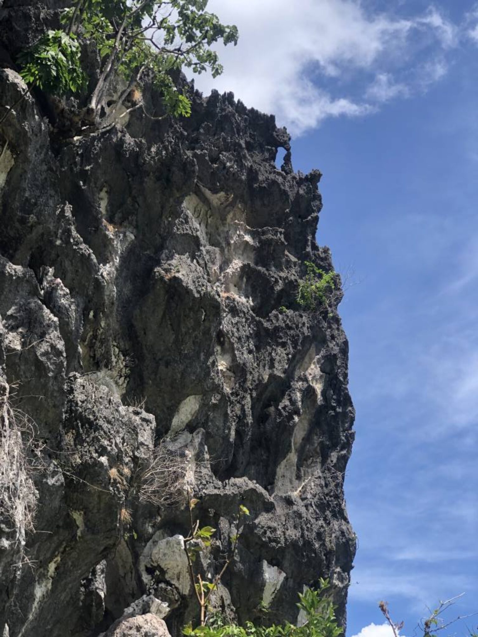 Gui-ob ni Tidoy: The living myth and legacy