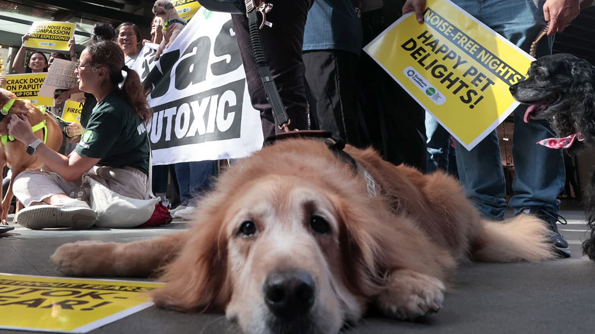 Fireworks injuries still fewer than last year