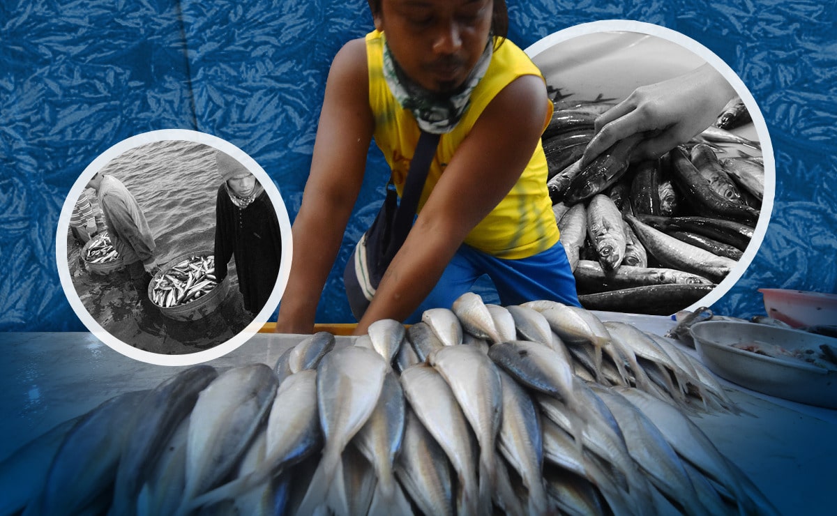 P300 per kg ‘galunggong’: Fishers warn imports won’t ease prices during fishing ban