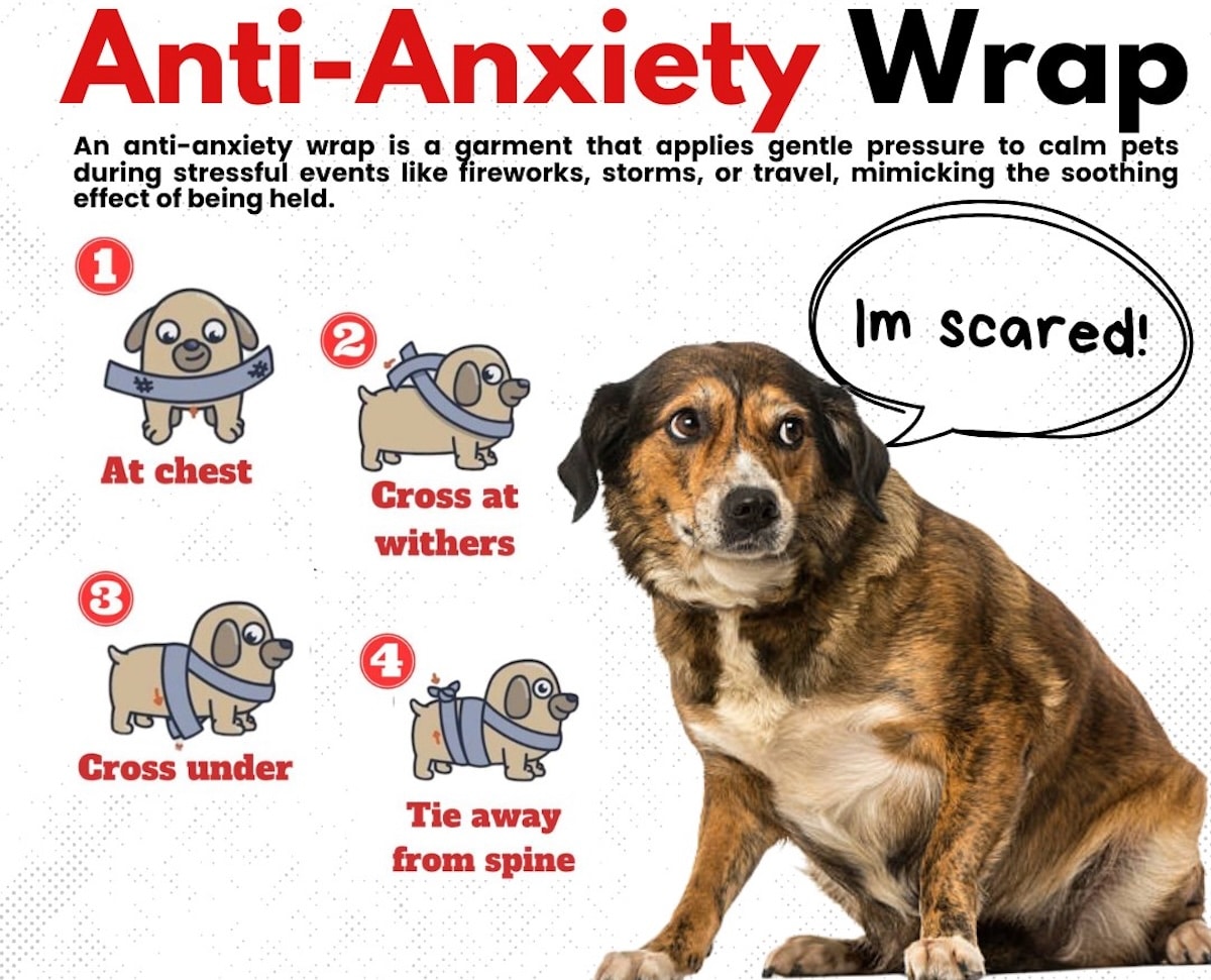 Group shares how to make ‘anti-anxiety wrap’ for pets for New Year’s Eve