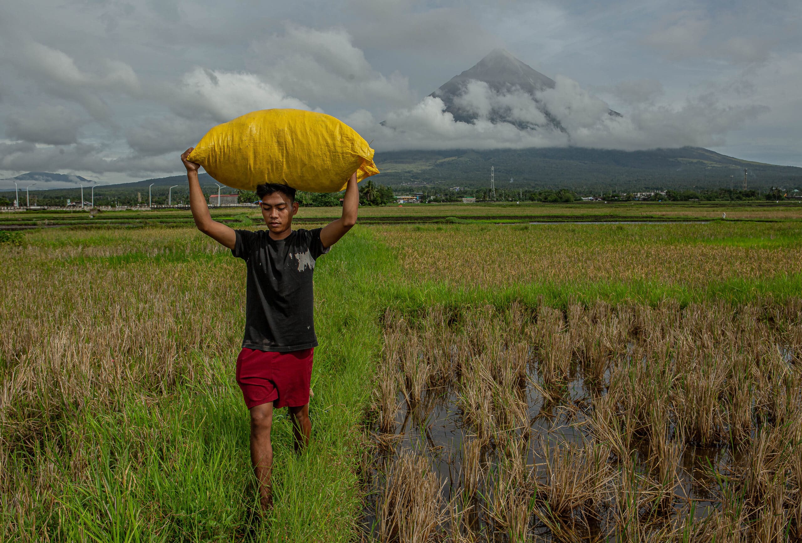 Mayon logs 736 quakes, over 4,700 rockfalls — Phivolcs