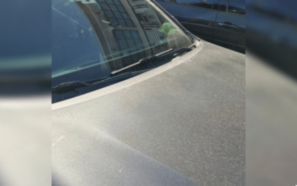 Legazpi warns residents of effects of Mayon Volcano ashfall