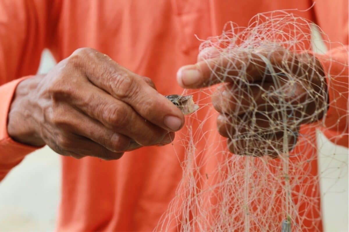 Featured articles right