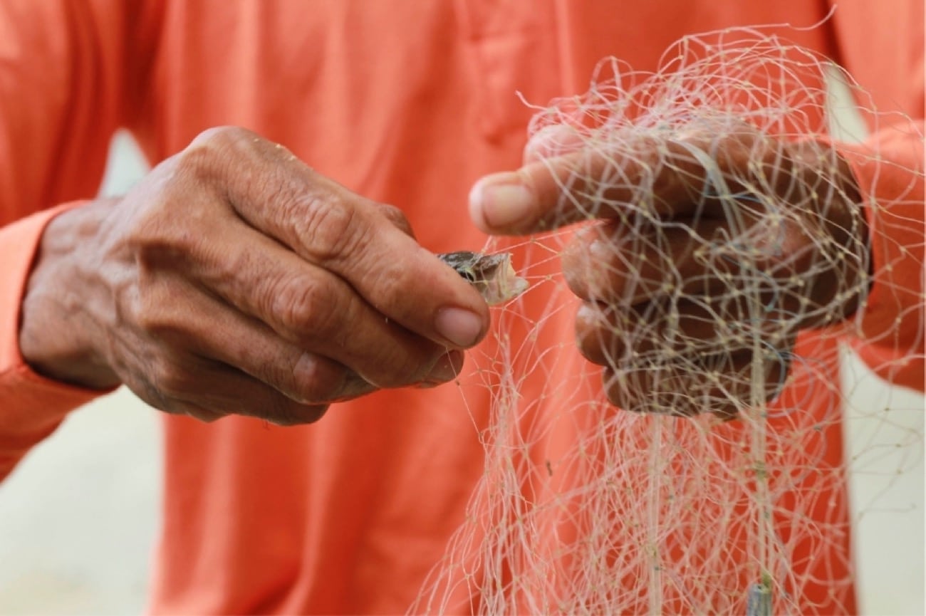 PCIC sees more farmers, fishers covered by insurance