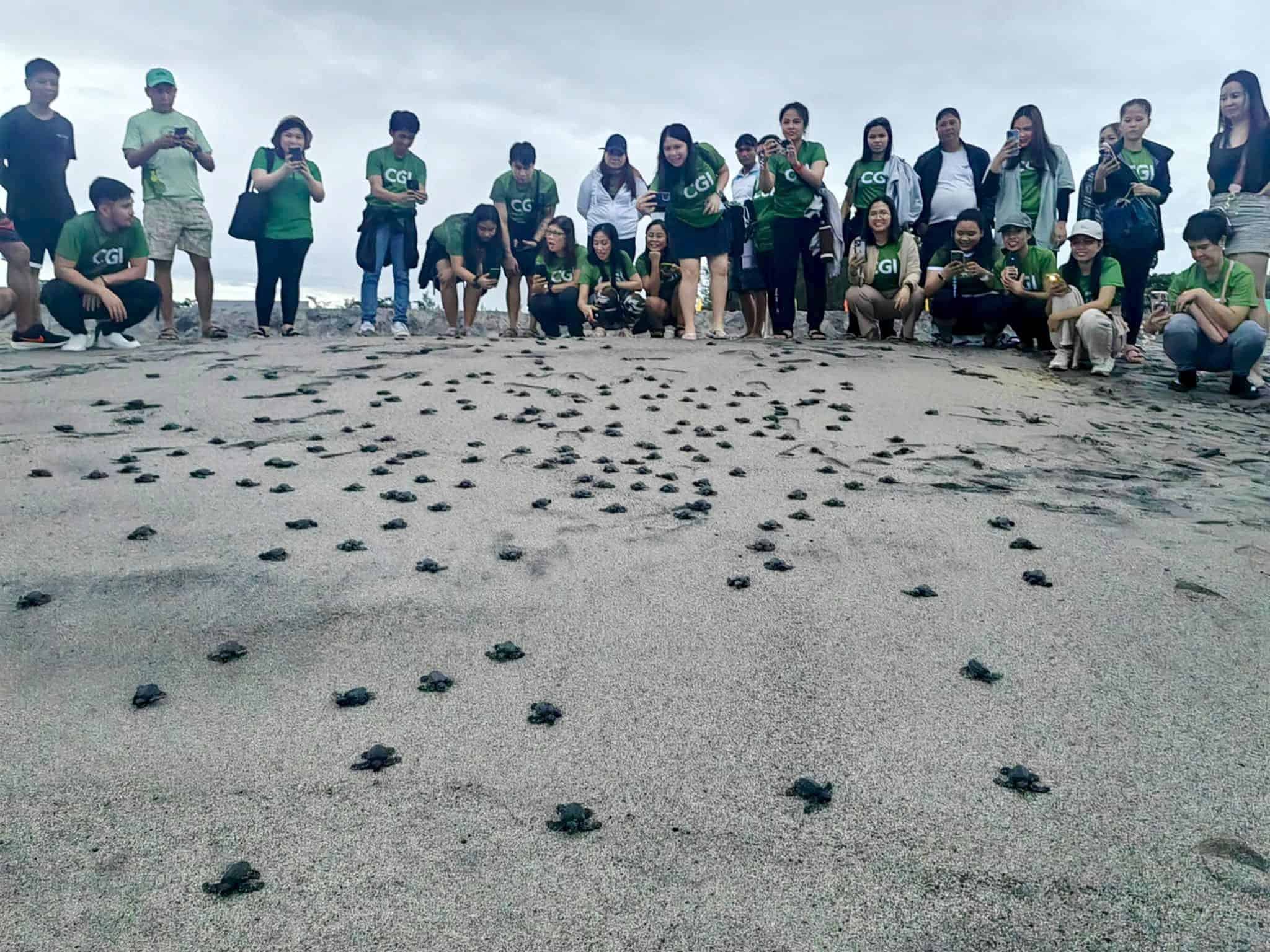 Zambales town gears up for Pawikan Festival