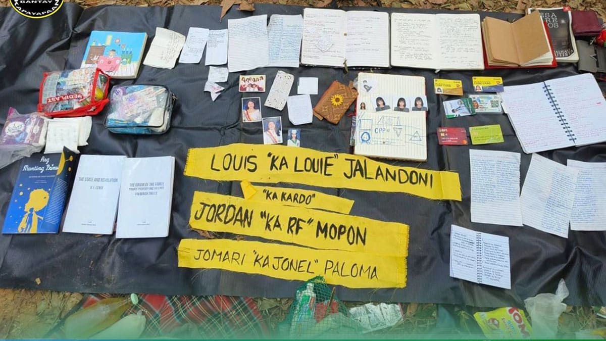 LGU denies child deaths in Abra de Ilog, Oriental Mindoro clash vs NPA