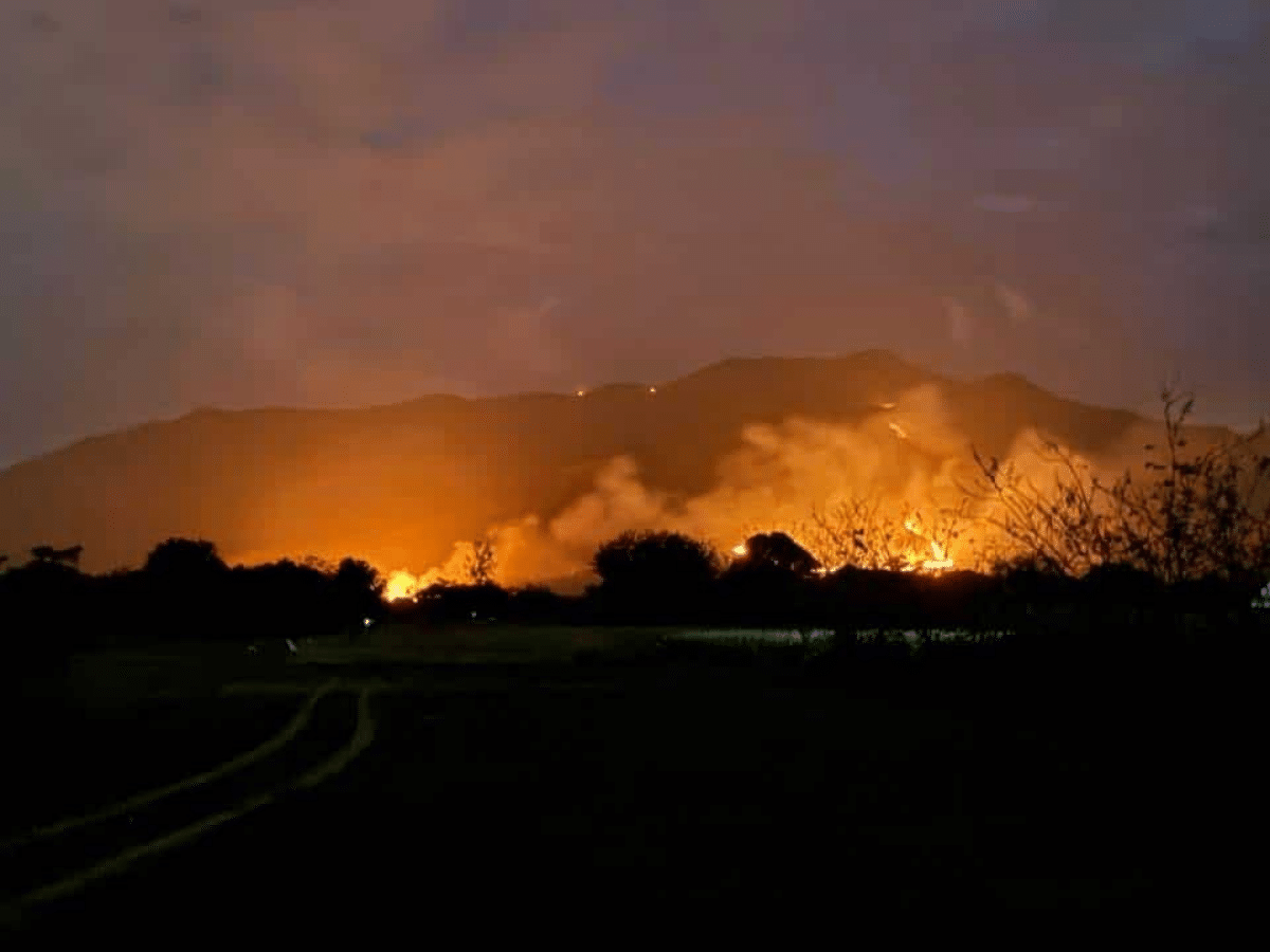 Overnight forest fire hits Zambales mountain anew
