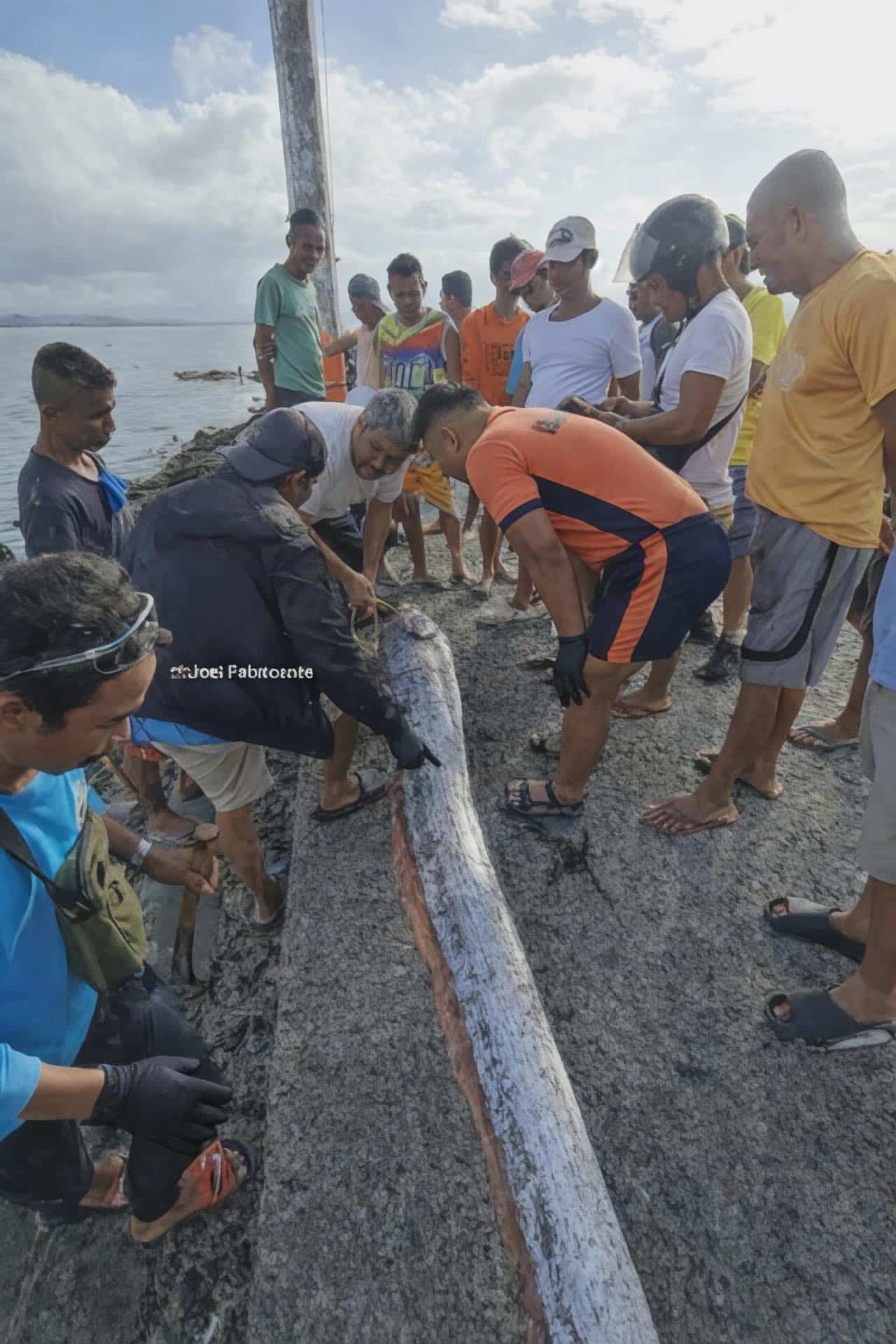 11-foot-long oarfish washed ashore in Quezon town