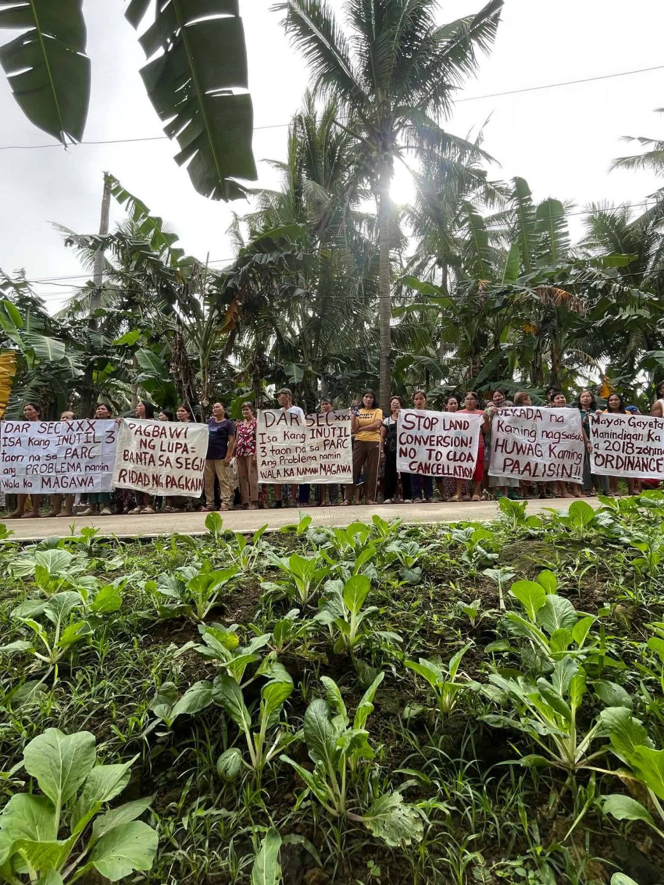 Land conversion threat sparks fear among Quezon farmers