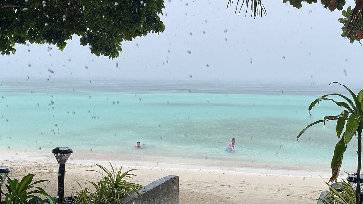 Bohol spared from major damage as Basyang passes