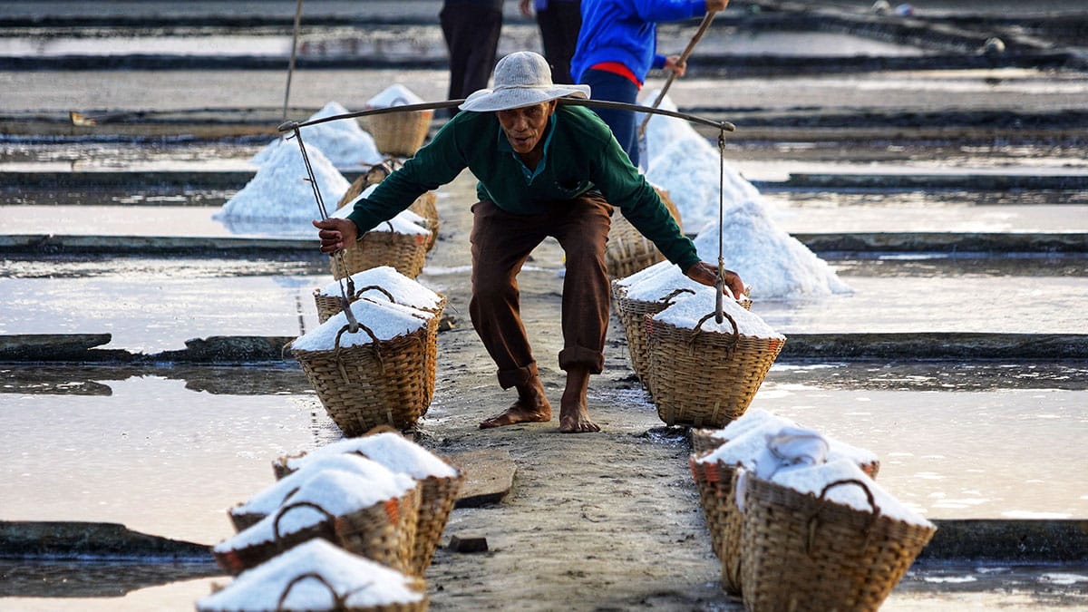 PH’s first salt research hub launched in Pangasinan