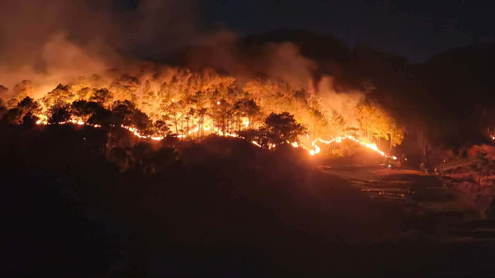 Benguet hit by early forest fires