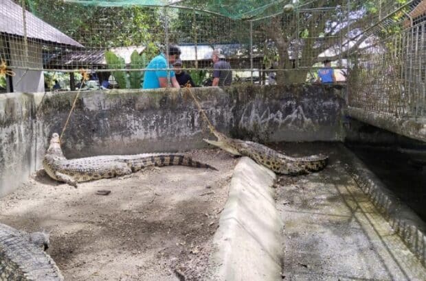 Featured article middle 7