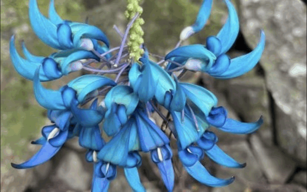 Featured articles right