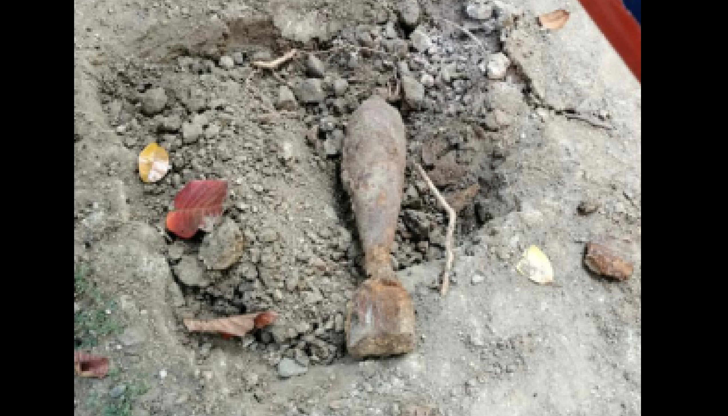 QCPD takes custody of vintage bomb found at UP Diliman campus