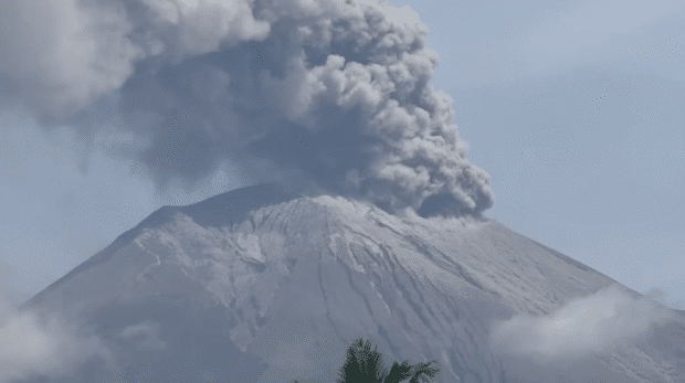 Featured article middle 11