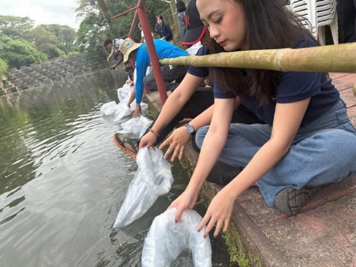 Featured articles right