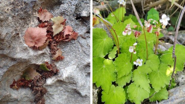 Featured articles left 4