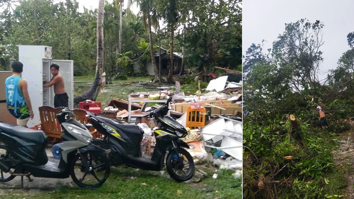 Store destroyed, trees toppled by tornado as Basyang hits Bohol