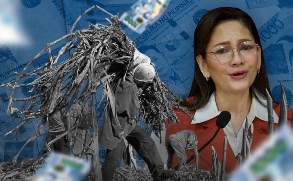 Sugar substitutes surge fuels call for Senate probe