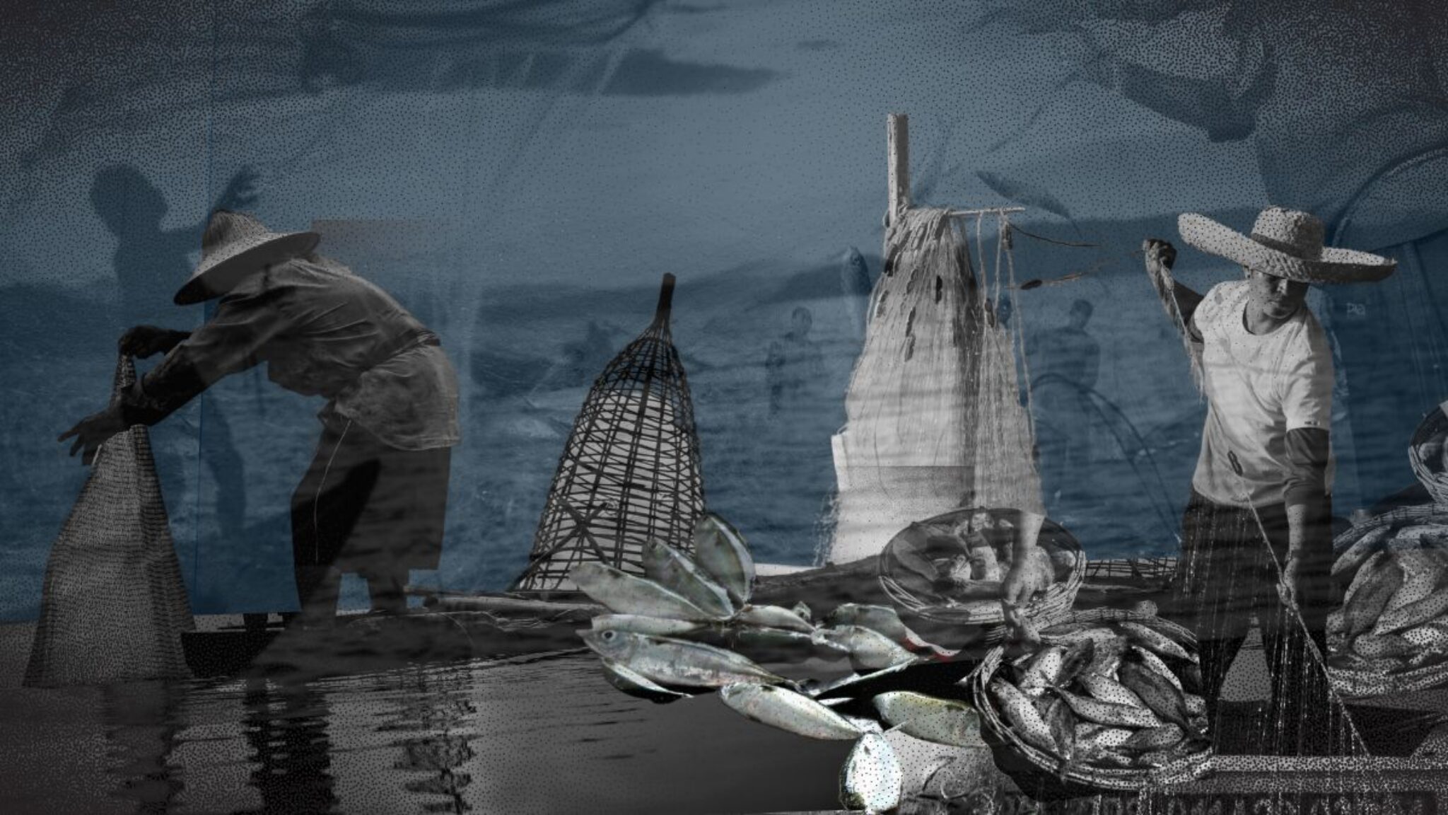 BFAR accused of favoring commercial fleets amid fisheries dispute