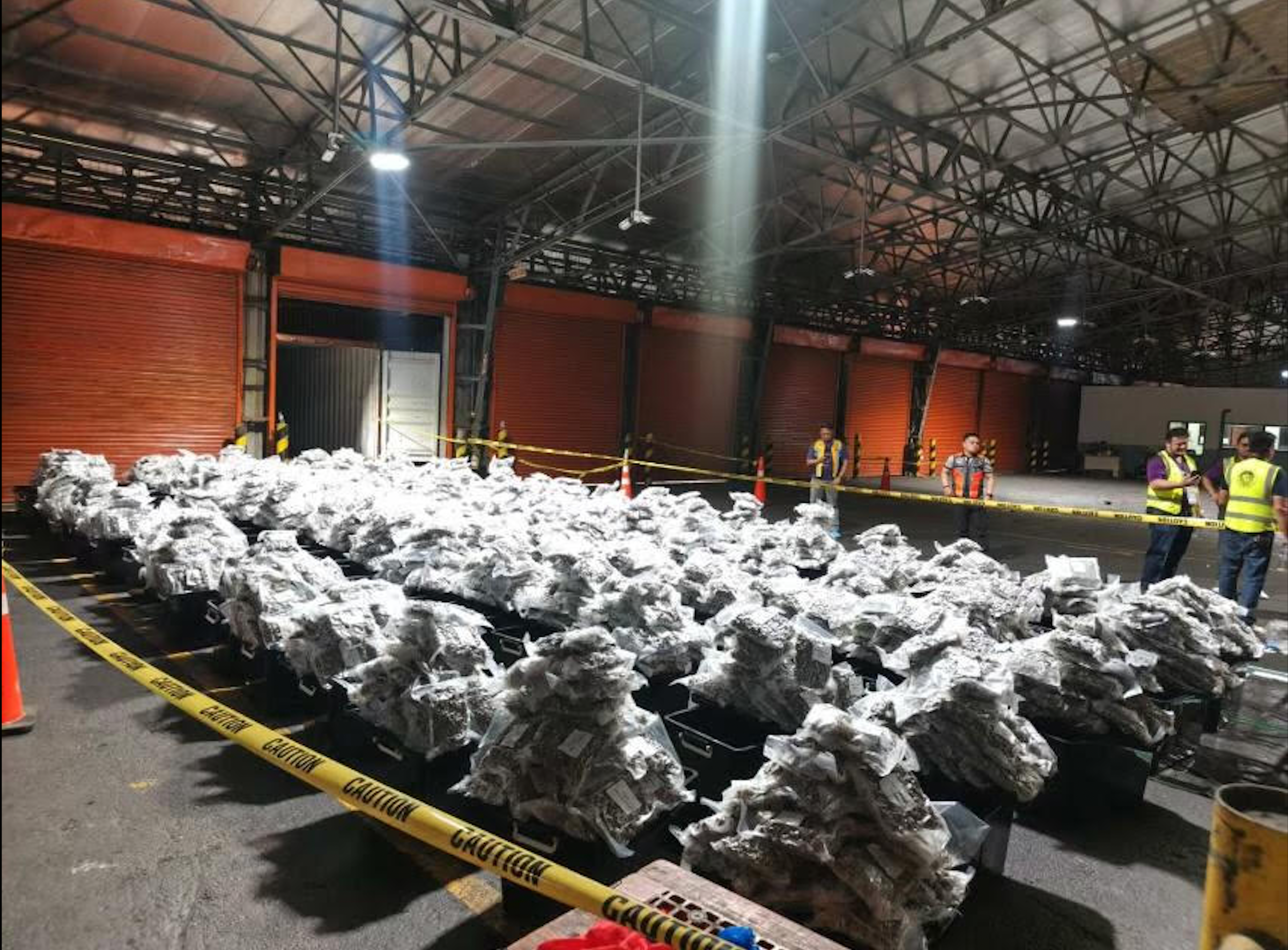 ₱640M worth of marijuana seized at Manila Port; suspect arrested – PDEA