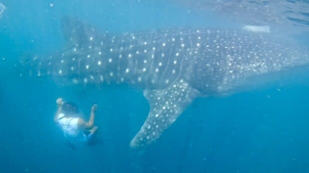 Featured article middle 10