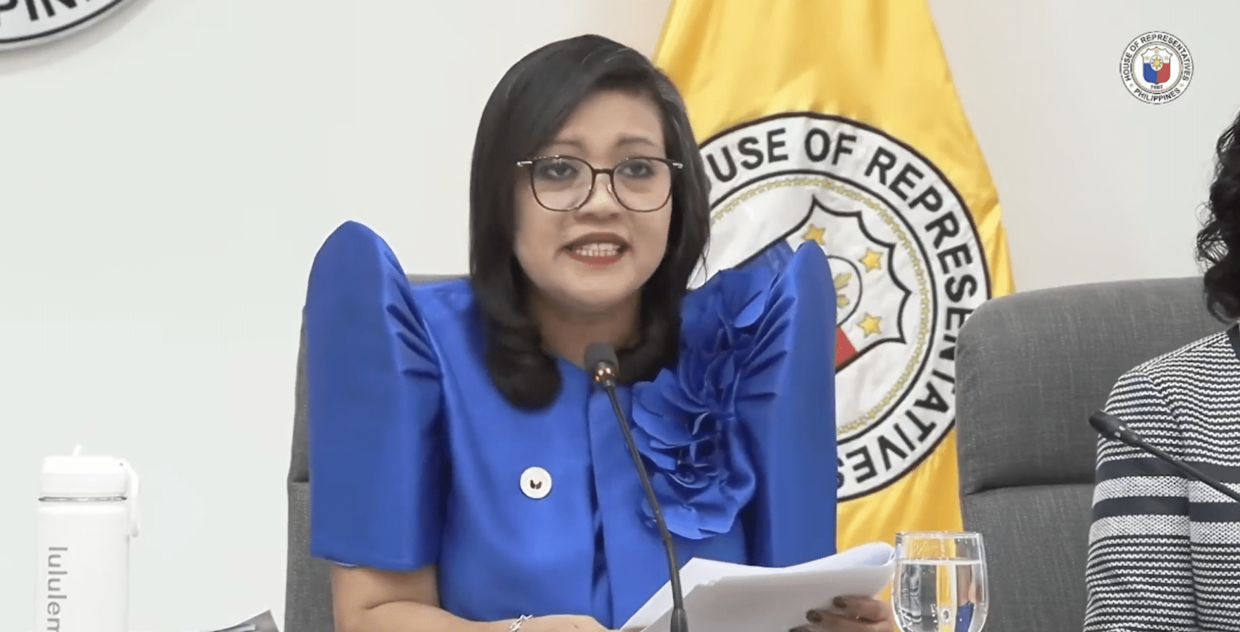 Luistro on Suntay’s remarks: Justice panel is ‘not a forum’ for fantasy