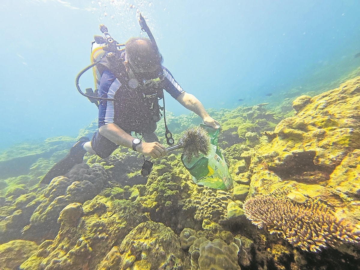 In Zambales, coastal volunteers lead defense of marine sanctuary