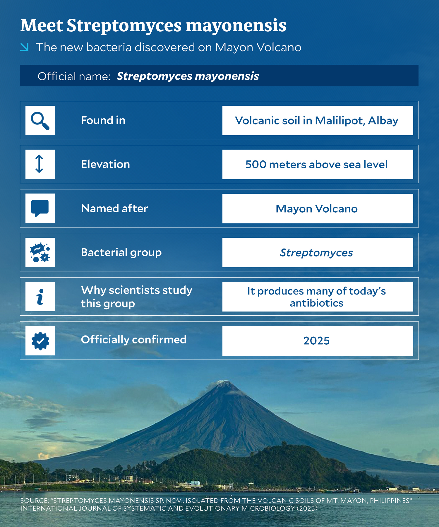 UP researchers identify new Mayon bacteria with antibiotic potential