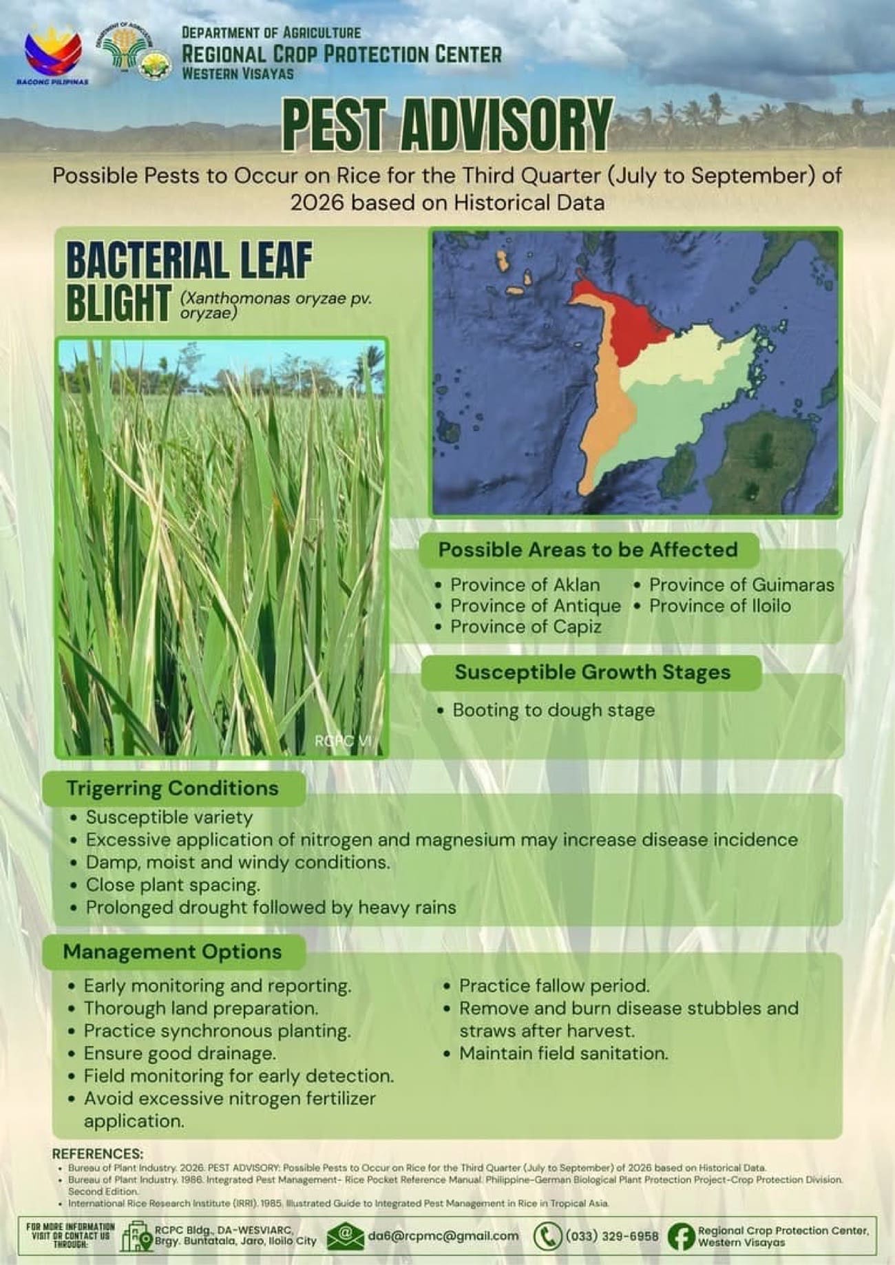 W. Visayas rice farmers urged to prepare for 5 major pests, diseases
