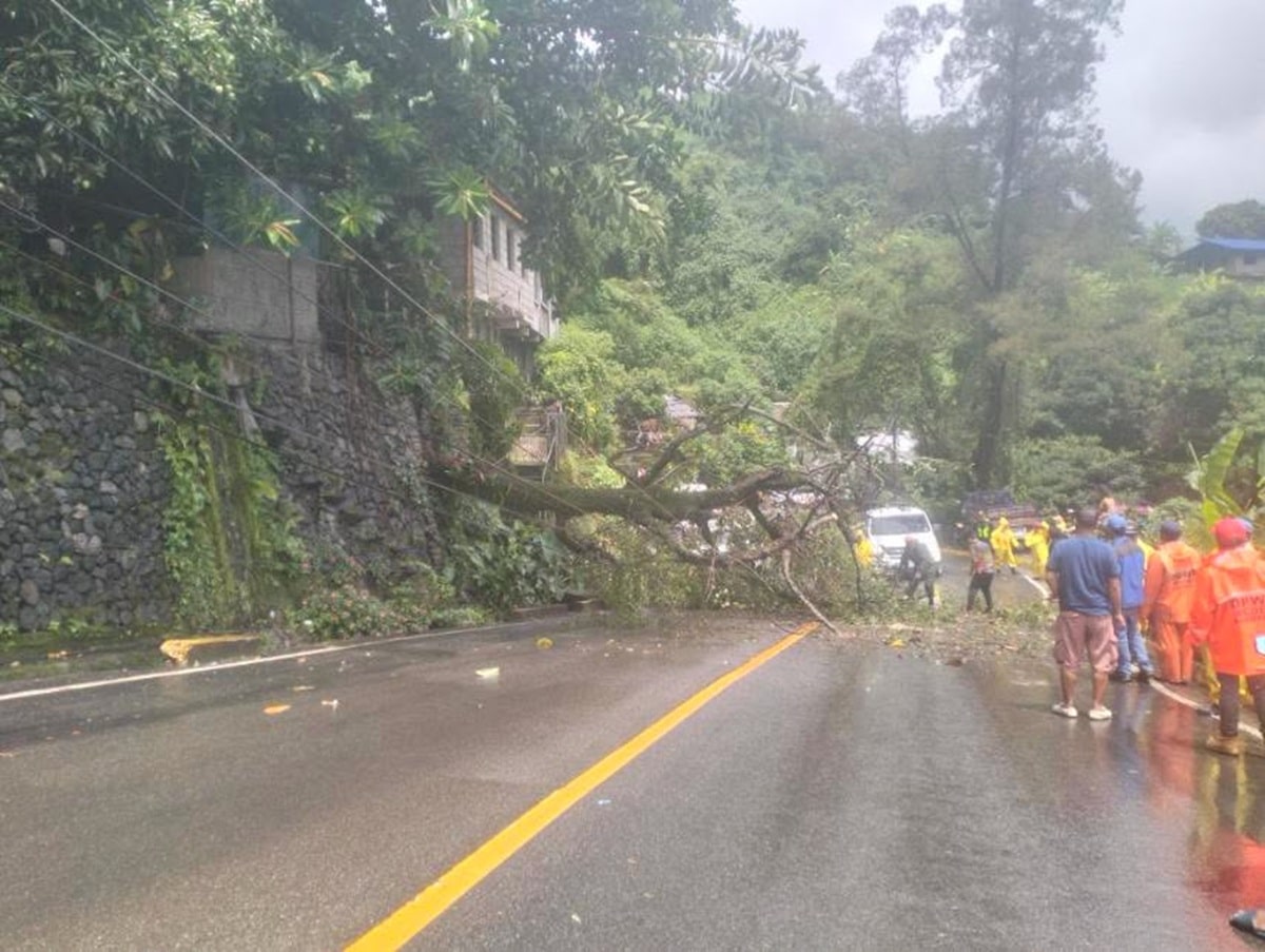 Heavy rains flood key Baguio route; fallen trees disrupt traffic