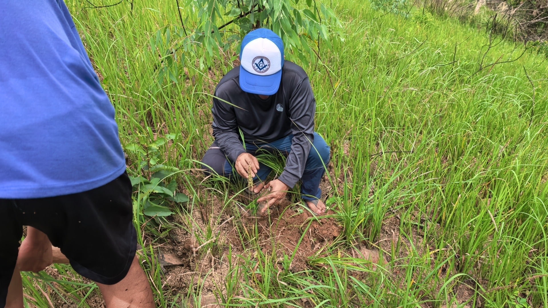 DENR plants 1,000 native tree seedlings in Zambales