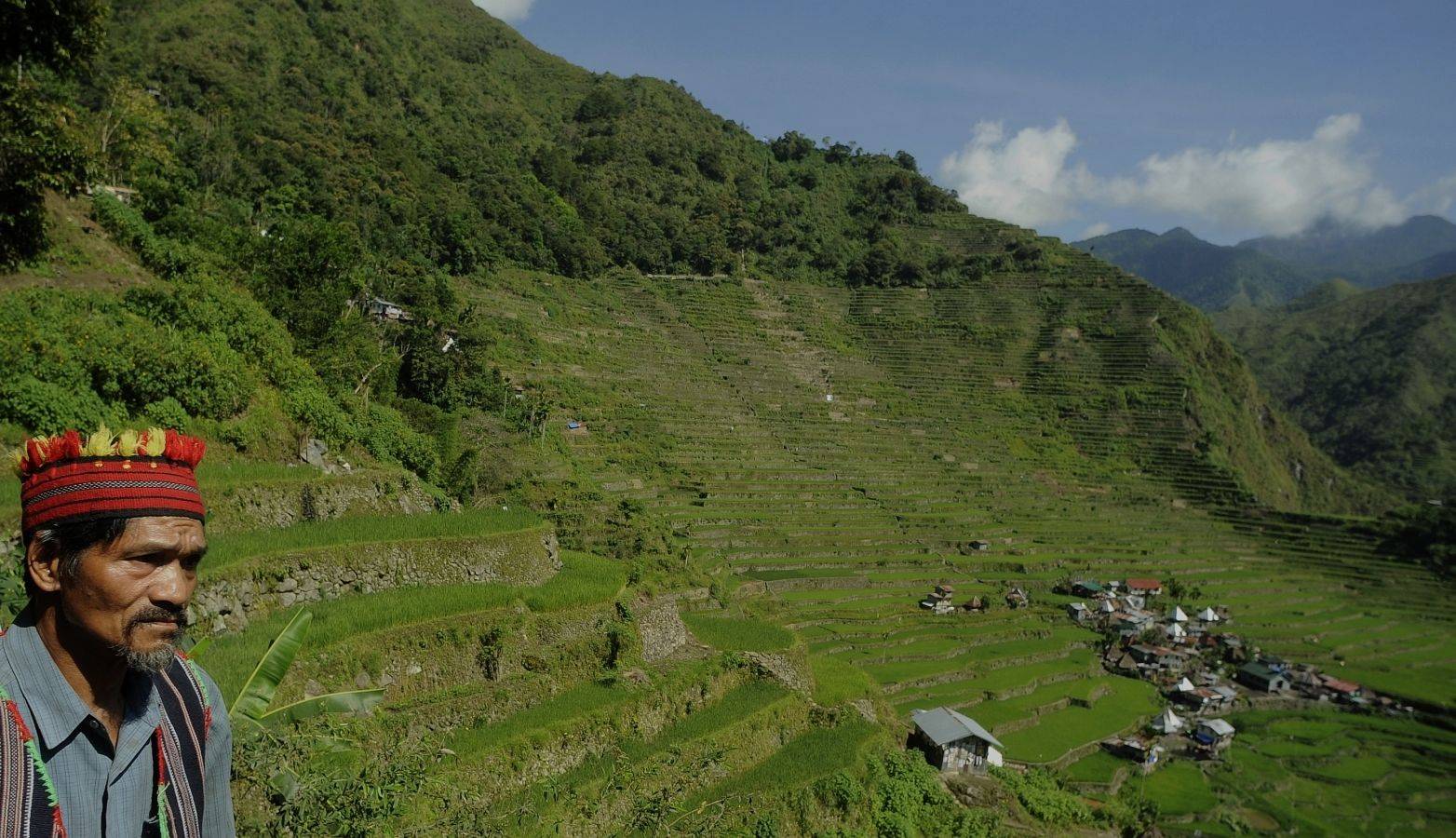 Cordillera body pushed to oversee all rice terraces