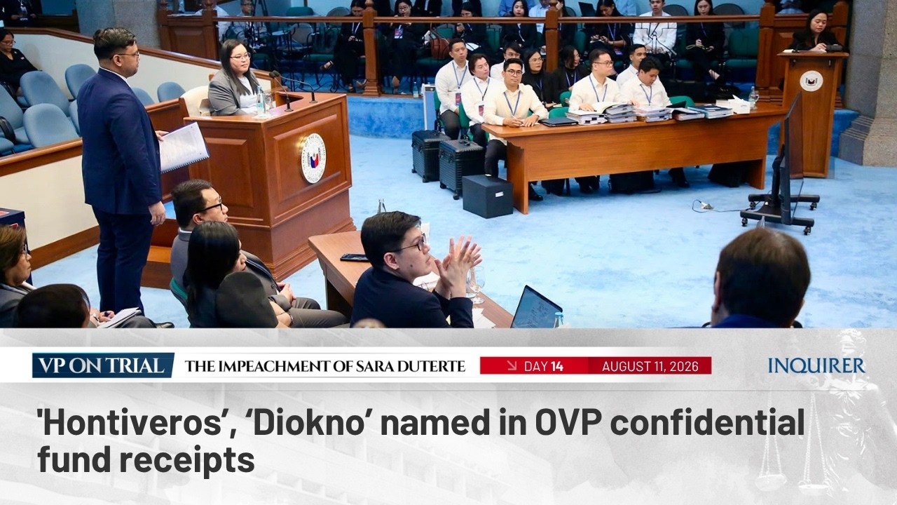 WATCH: 'Hontiveros,' 'Diokno' named in OVP confidential fund receipts