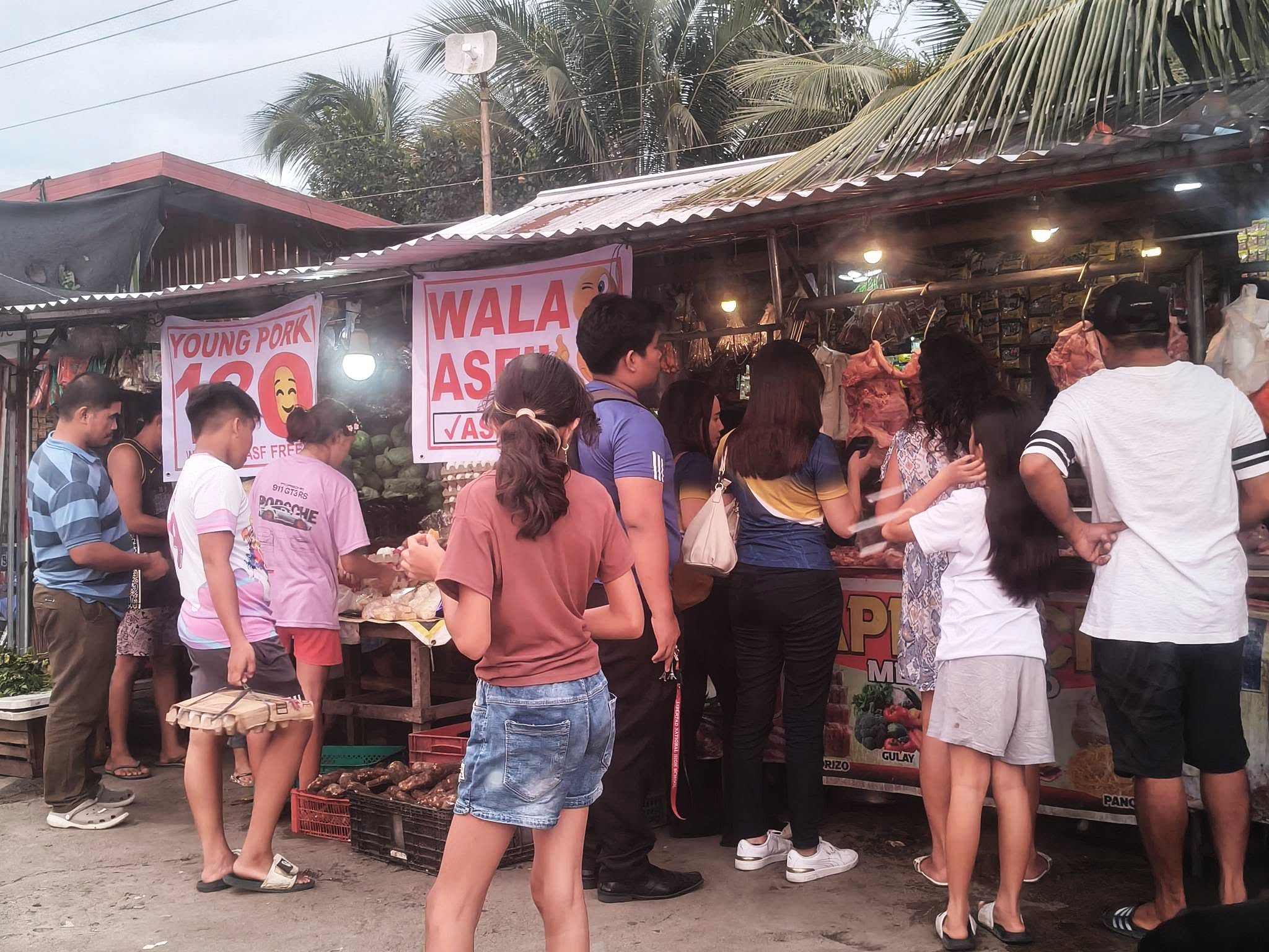 South Cotabato officials: No ASF, no new hog deaths in province