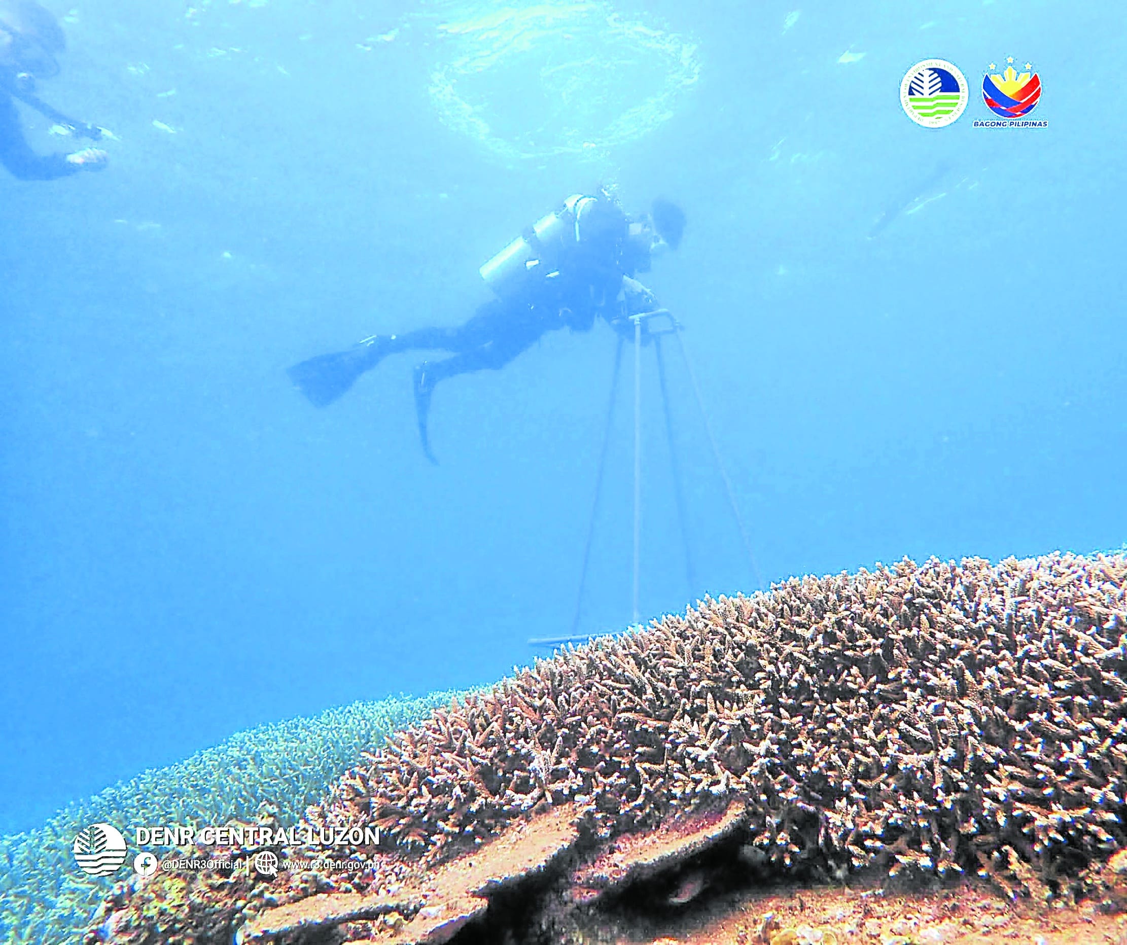 Zambales expands MPA network with 2 new sanctuaries miniatura