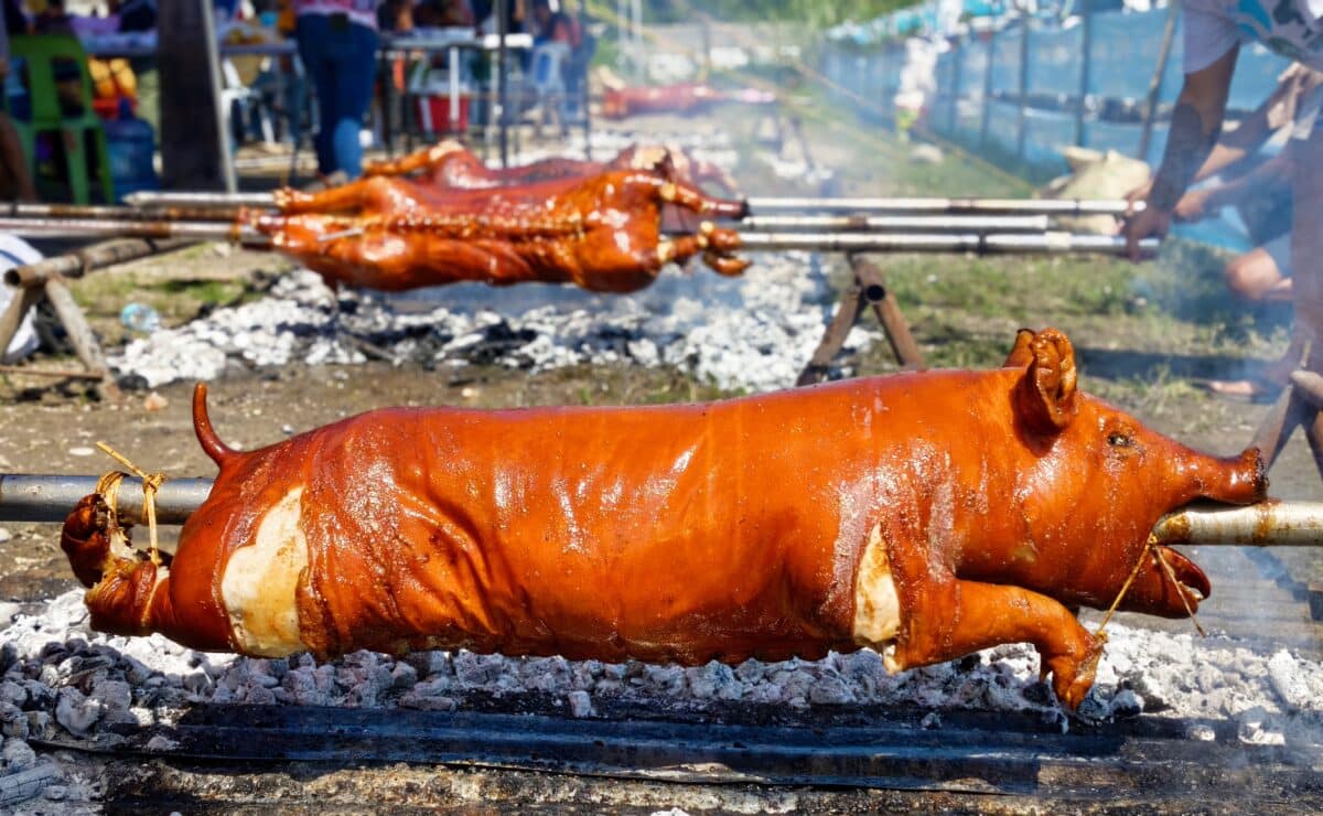 Free roasted pigs: Koronadal's 13th Lechon Festival draws crowds