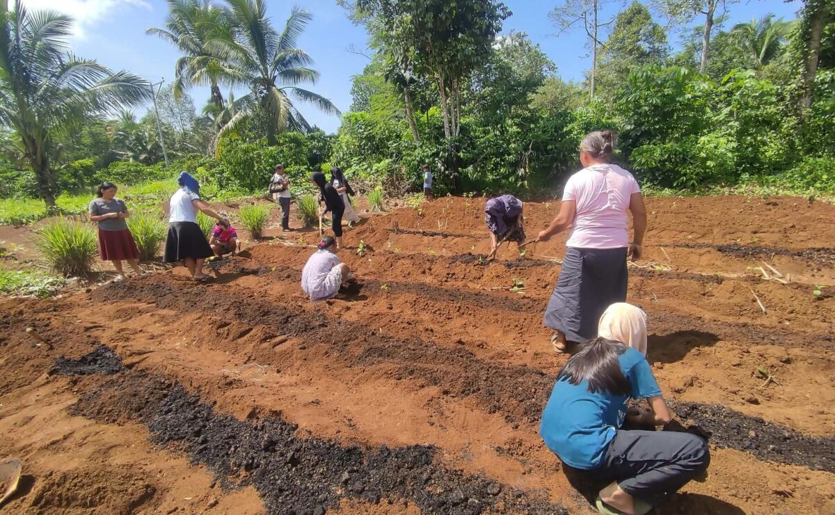 Higaonon youth of Agusan del Sur turns coffee waste into cascara tea