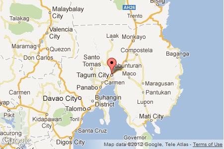 Pest spray plane crashes in Davao del Norte | Inquirer News