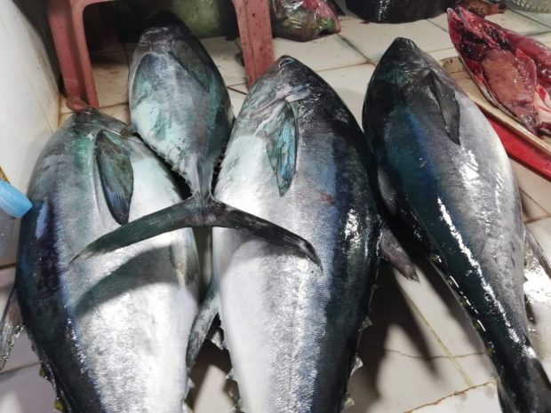 'Usman' aftermath: Prices of fish rise in Bohol | Inquirer News